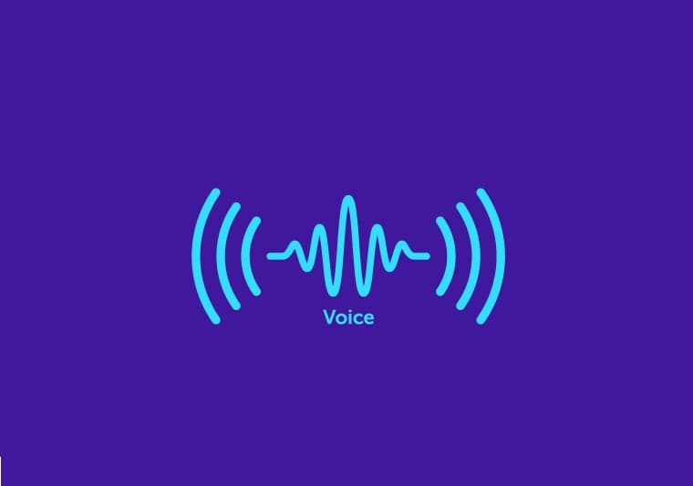 Voice ID